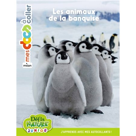 Les animaux de la banquise