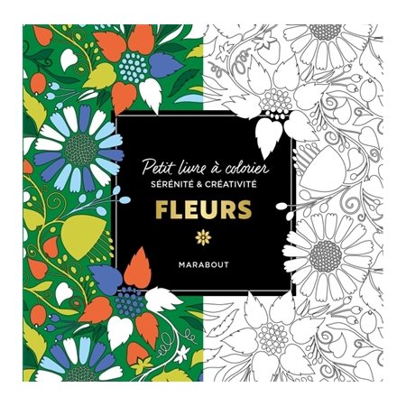 Petit livre à colorier : Fleurs