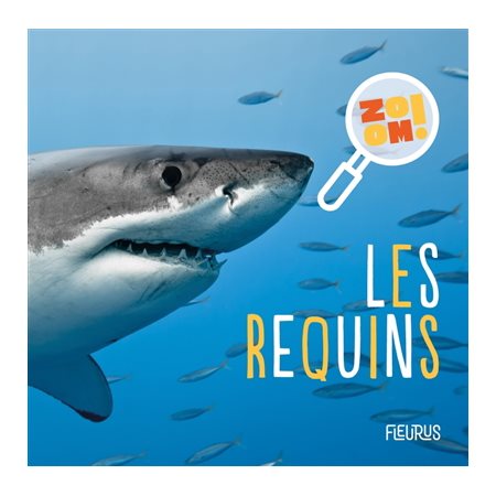 Les requins, Zoom !