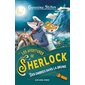 Les aventures de Sherlock, Des ombres dans la brume