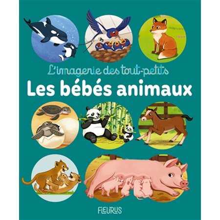 Les bébés animaux, L'imagerie des tout-petits