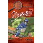 Oiseaux du Québec : guide d'identification, Jeunes explorateurs