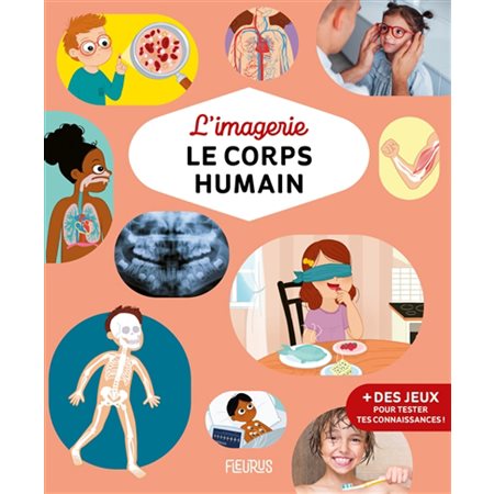 Le corps humain, Imagerie...