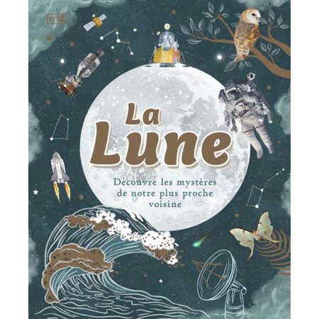 La Lune : découvre les mystères de notre plus proche voisine