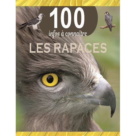 Les rapaces, 100 infos à connaître