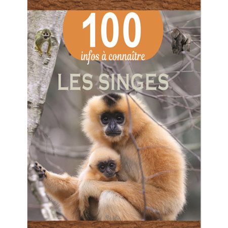 Les singes, 100 infos à connaître