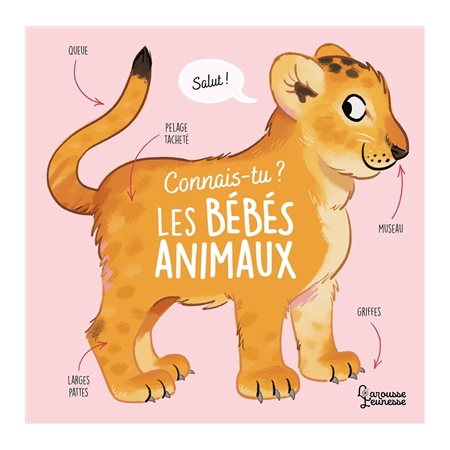 Connais-tu ? Les bébés animaux