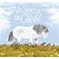 La sagesse de Cheval