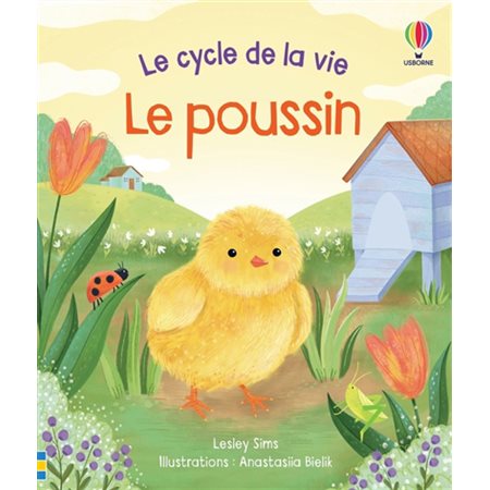 Le poussin, Le cycle de la vie