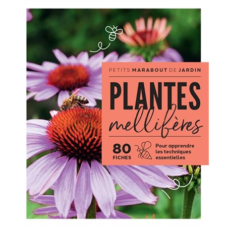 Plantes mellifères