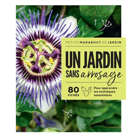 Un jardin sans arrosage