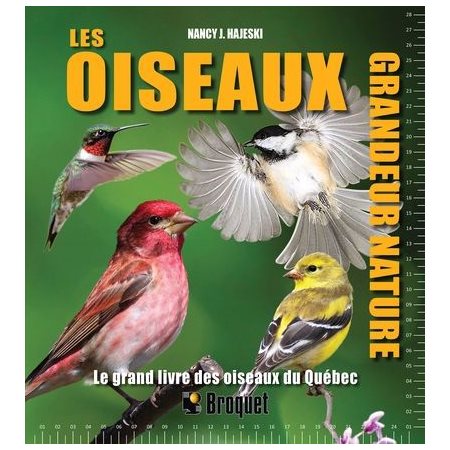 Les oiseaux grandeur nature