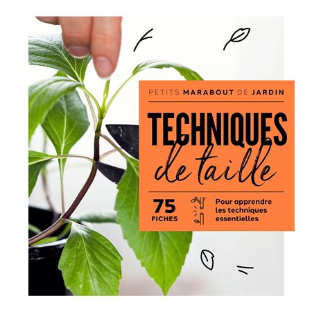 Techniques de taille