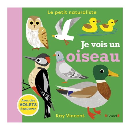 Je vois un oiseau