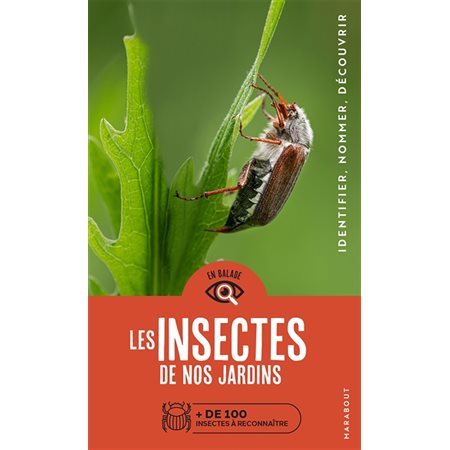 Les insectes de nos jardins