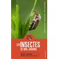 Les insectes de nos jardins