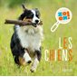 Zoom ! Les chiens