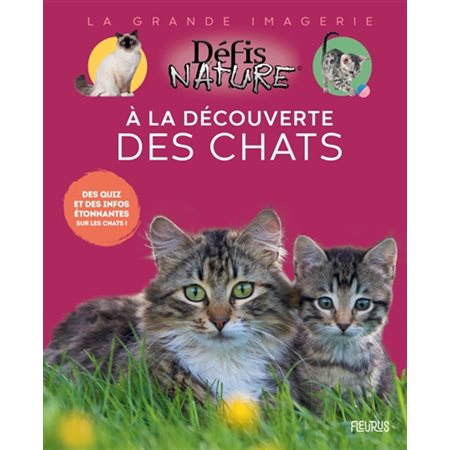 À la découverte des chats