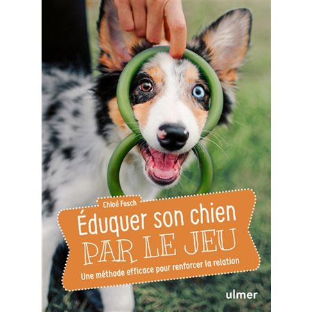 Eduquer son chien par le jeu : une méthode efficace pour renforcer la relation