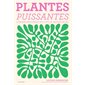 Plantes puissantes : l'herboristerie du cycle menstruel