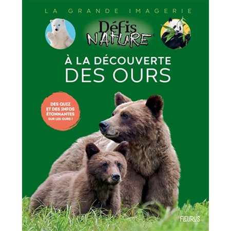 A la découverte des ours