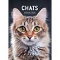 Chats - Agenda 2025