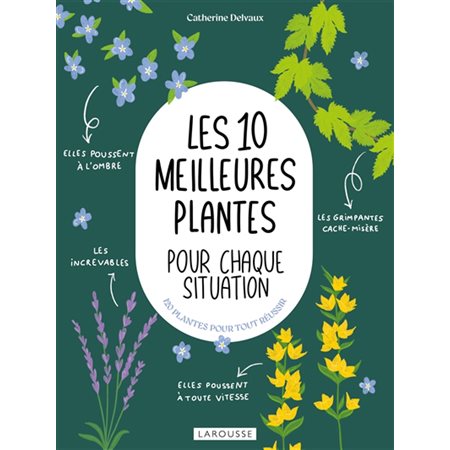 Les 10 meilleures plantes pour chaque situation