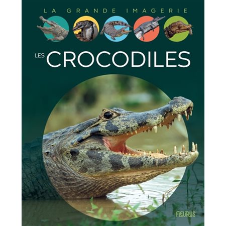 Les crocodiles