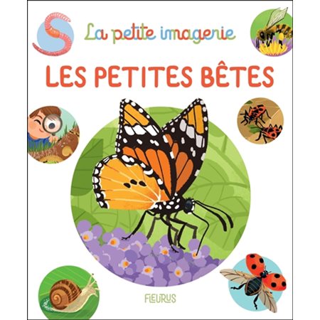 Les petites bêtes, La petite imagerie, 35