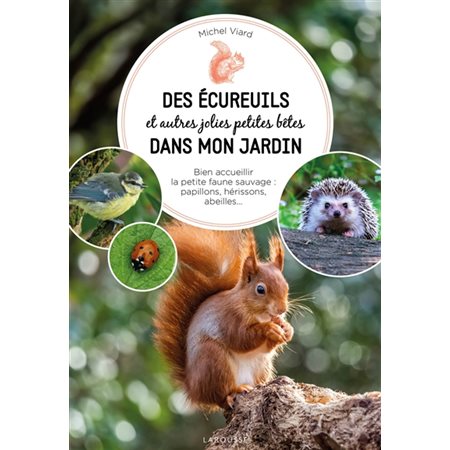 Des écureuils et autres jolies petites bêtes dans mon jardin