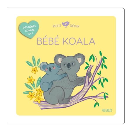 Bébé koala