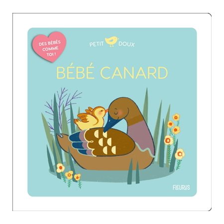 Bébé canard