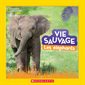 Vie sauvage, Les éléphants