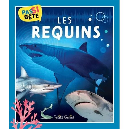 Pas si bête : Les requins