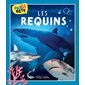 Pas si bête : Les requins