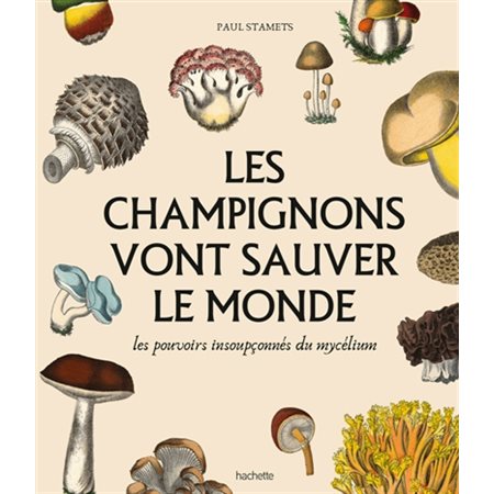 Les champignons vont sauver le monde