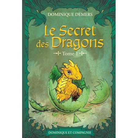 Le secret des dragons #1