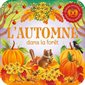 L'automne dans la forêt