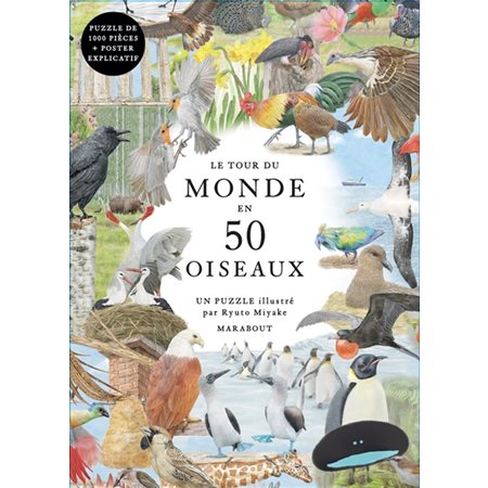 Le tour du monde en 50 oiseaux