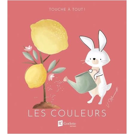 Touche à tout Les couleurs