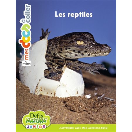 Mes docs à coller : Les reptiles