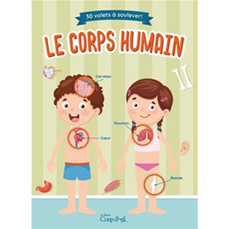 Le corps humain