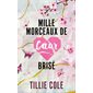 Mille morceaux de coeur brisé