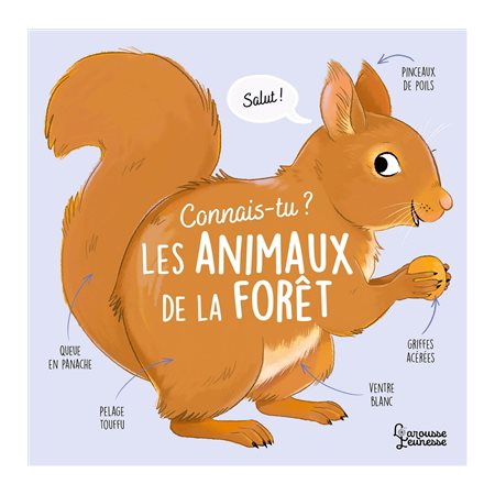 Connais-tu les animaux de la forêt ?