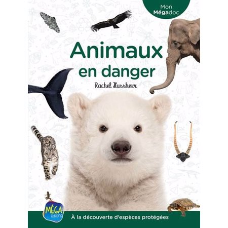 Animaux en danger