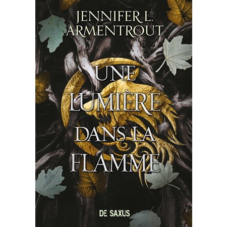 Une lumière dans la flamme