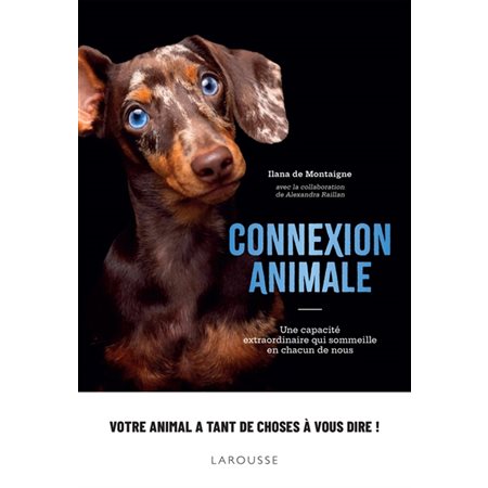 Connexion animale