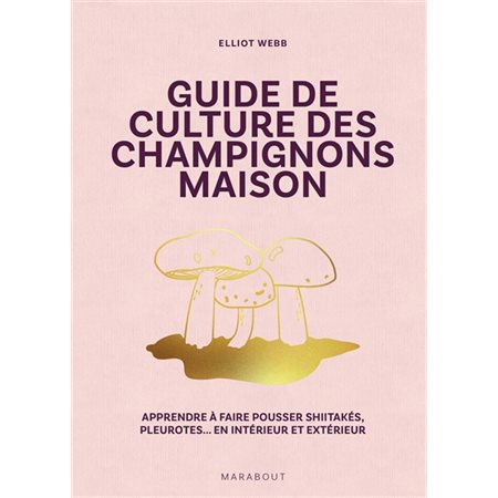 Guide de culture des champignons maison