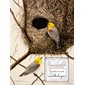Carnets secrets d'un ornithologue