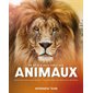 En tête à tête avec les animaux